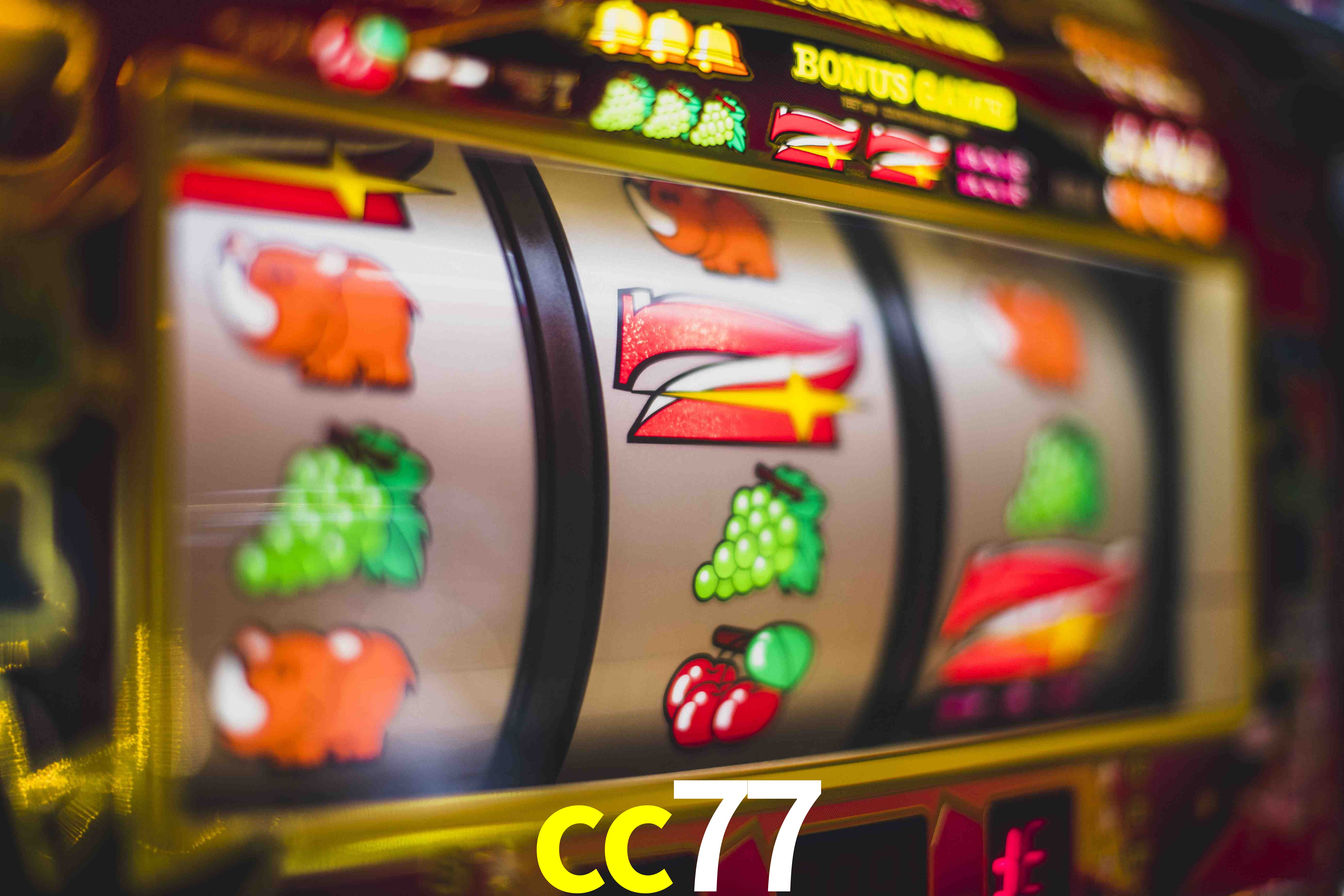 Basketball Betting cc77