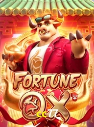 CC77.COM